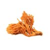 MycoMedica Cordyceps 50 % 90 kapslí