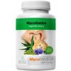 MycoMedica MycoGastro sypká zmes pre prípravu nápoja 90g