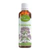 Serafin Pamajorán – tinktúra z bylín 50 ml