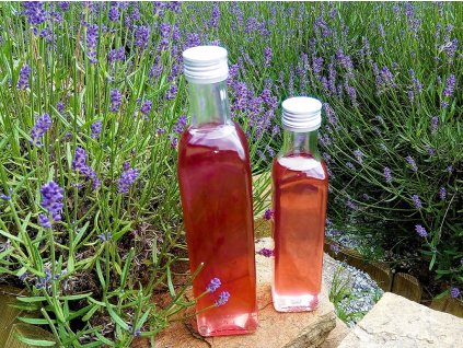 levandulovysirup02
