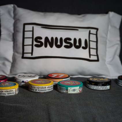 Polštář s potiskem