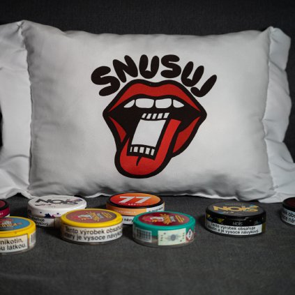 Polštář s potiskem