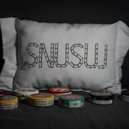 Polštář s potiskem