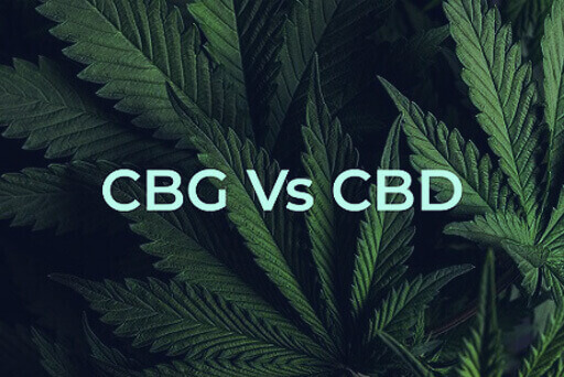 Rozdíl mezi CBD a CBG