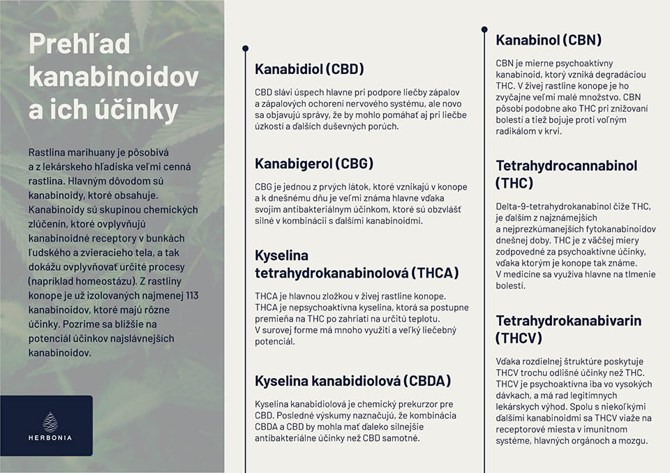 Zlúčeniny v konope a ich účinky