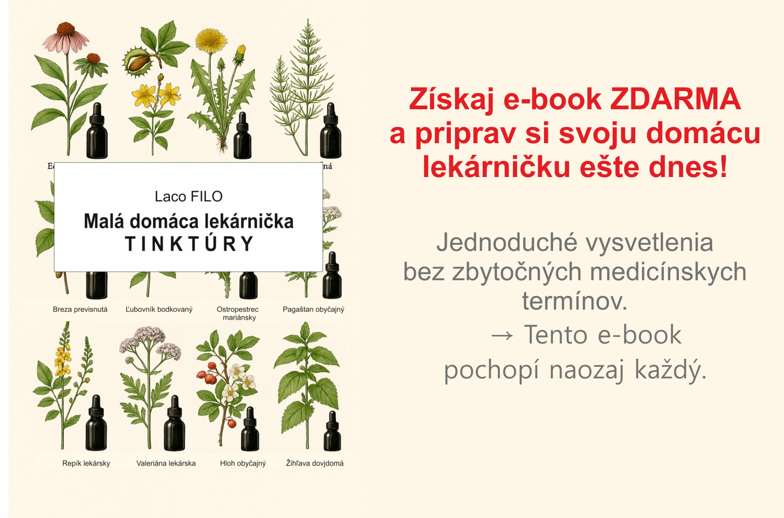 Získaj e-book zdarma