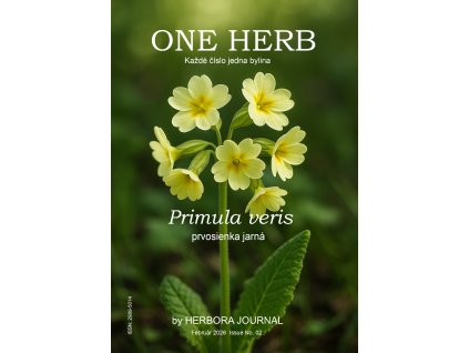 primula veris obalka