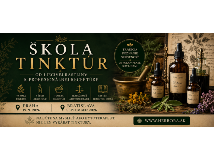 škola