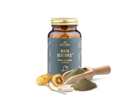 MACA