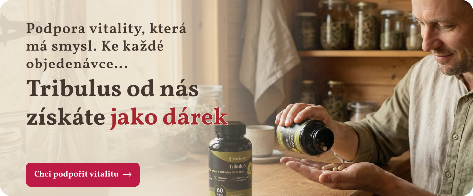 Tribulus jako dárek