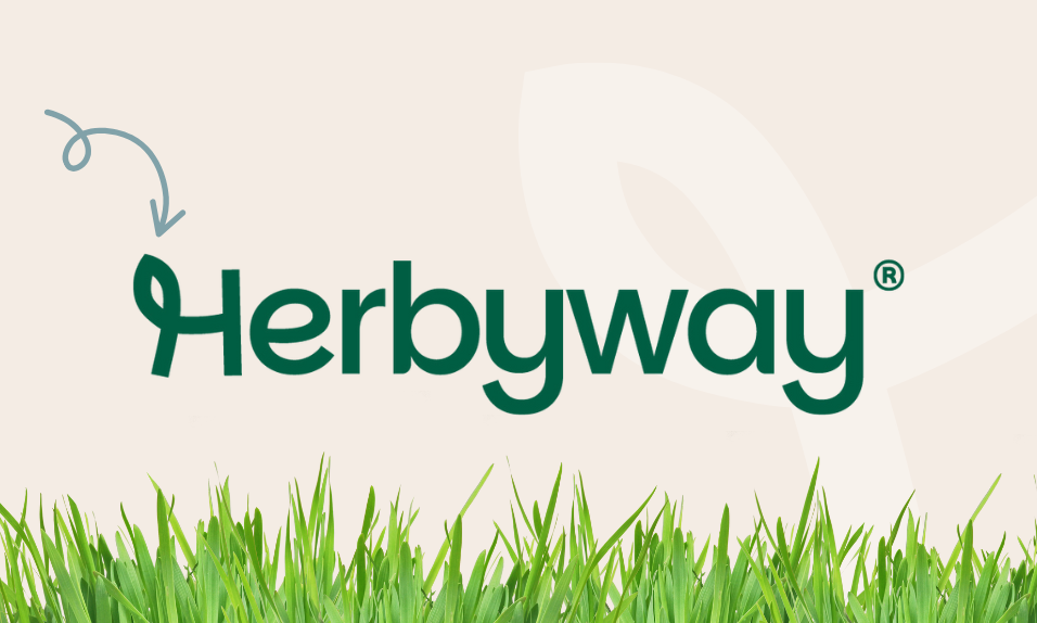 banner_bezovy_final