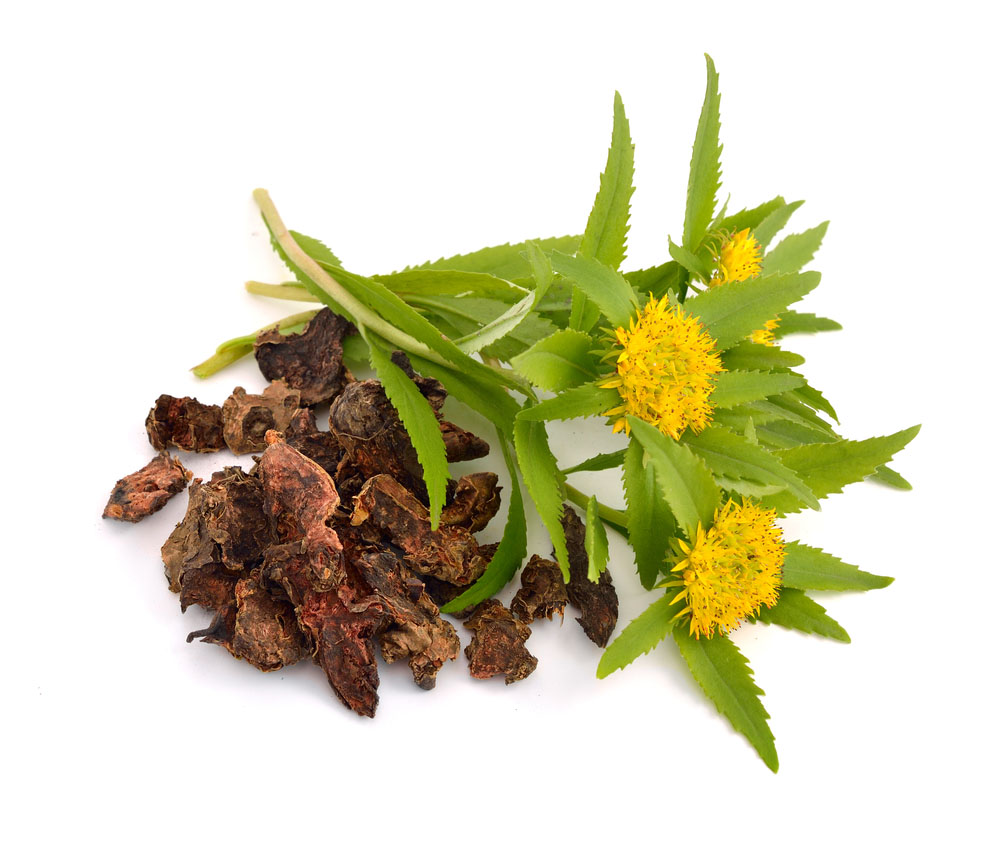 rhodiola