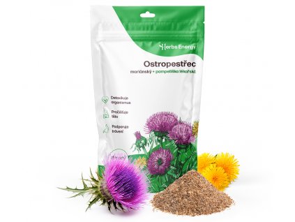 pampeliska eshop