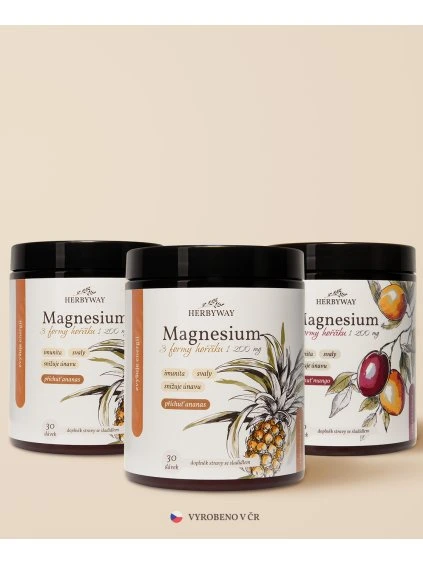 product photo magnesium pineapple x2 mango x1 1