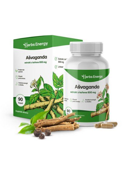 exp 0016 asva mockup