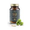 Kotvičník (Tribulus) - extrakt z rostliny 880 mg