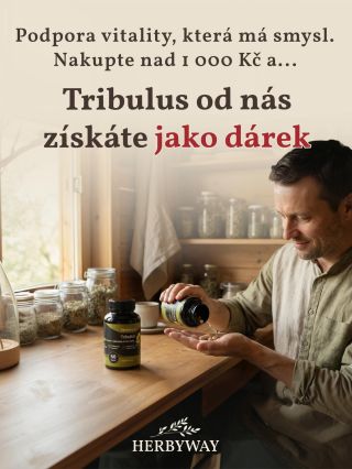 🎁Malý dárek od nás pro vás. Ke každému nákupu nad 1000 Kč teď přibalíme Tribulus zdarma. Bylina, která je tradičně...
