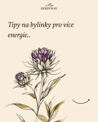 ⚡ Energie z přírody? Ano, ale chytře. Cítíte únavu, výkyvy energie nebo odpolední „útlum“? Možná tělo jen potřebuje...