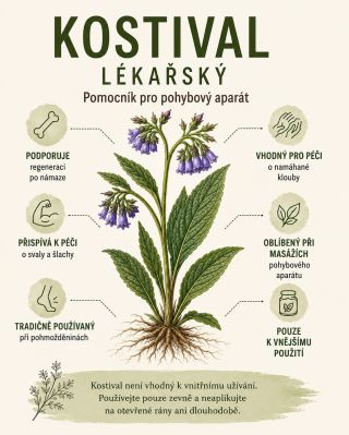🌿 Kostival lékařský patří mezi bylinky, které měly své místo téměř v každé domácnosti. Naše babičky ho tradičně používaly...