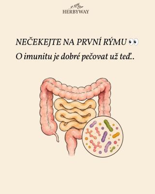 Imunita nezačíná až s první rýmou. 🍂 Střevo, stres, spánek i každodenní návyky hrají svou roli. Proto má smysl pečovat o...