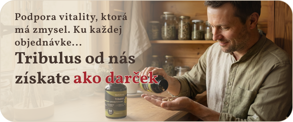 Tribulus - Muž 35 let
