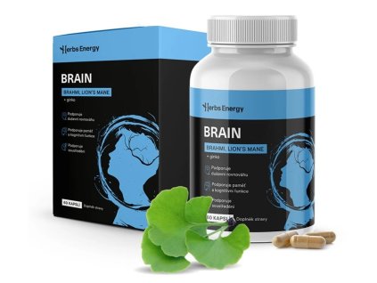 288 exp 0026 brain mockup