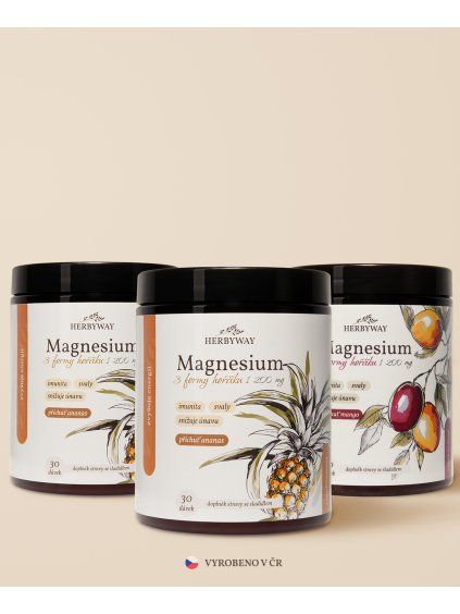 product photo magnesium pineapple x2 mango x1 1