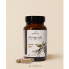 Ašvaganda – extrakt z koreňa 800 mg