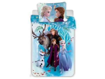 frozenvzor6