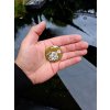 rybarsky odznak my style fishing kapor kapr herisk darcek pre rybara (3)