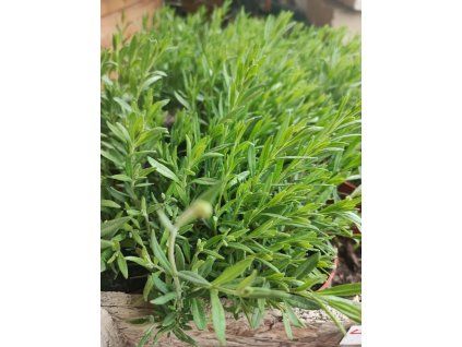 3de0402d 9219 496f 816e 355e08a38d45