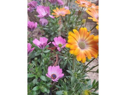 611d6f23 d3e6 4f61 9342 39a423deaf1f