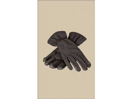 Blaser D - Rukavice Handschuh Softshell, Art.: 111036-011/600