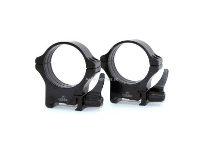 rusanMont.delena9397