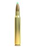 SB .30-06 Springfield PTS 11,7g./180gr. 30702 Plastic Tip Special