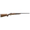Browning T-Bolt Sporter Thr., .17HMR, 22", NS, SM, 10r., 025199270
