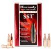 Hornady .284 7mm SST 162gr 2