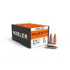 Nosler - Strely .224/22/5,6mm, 60gr. SP Ballistic Tip, 100ks, Art.: 34992