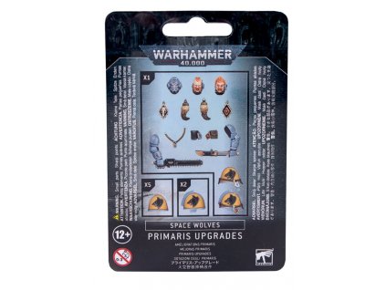 Space Wolves Primaris Upgrades