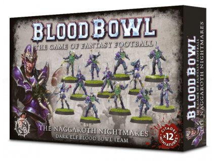 Dark Elf Blood Bowl Team – The Naggaroth Nightmares