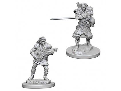 D&D Nolzur's Marvelous Miniatures - Human Male Bard