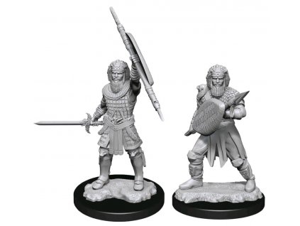 D&D Nolzur's Marvelous Miniatures - Human Fighter Male