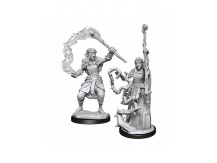 D&D Nolzur's Marvelous Miniatures - Firbolg Druid Female