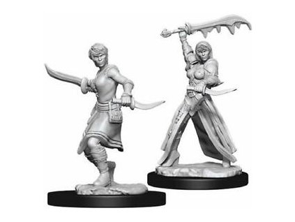 D&D Nolzur's Marvelous Miniatures - Female Human Rogue