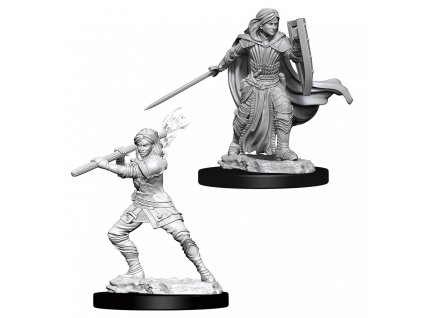 D&D Nolzur's Marvelous Miniatures - Female Human Paladin