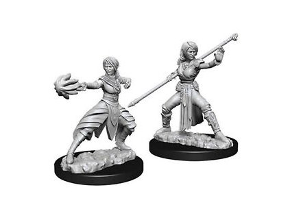 D&D Nolzur's Marvelous Miniatures - Female Half-Elf Monk