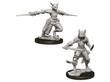 D&D Nolzur's Marvelous Miniatures - Female Tabaxi Rogue