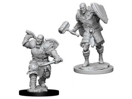 D&D Nolzur's Marvelous Miniatures - Male Goliath Fighter