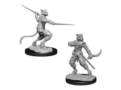 D&D Nolzur's Marvelous Miniatures - Male Tabaxi Rogue