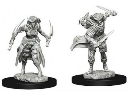 D&D Nolzur's Marvelous Miniatures - Tiefling Female Rogue